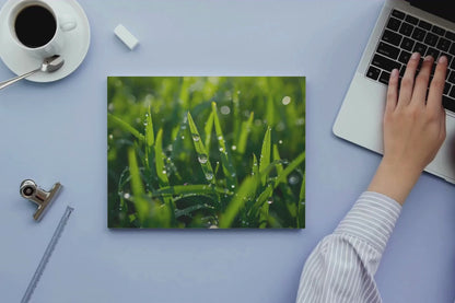 Morning Dew Grass Mouse Pad